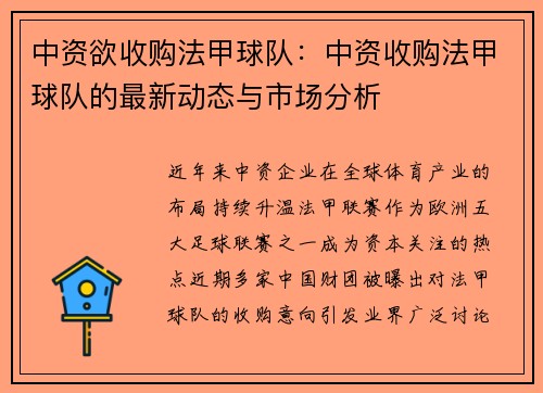 中资欲收购法甲球队：中资收购法甲球队的最新动态与市场分析